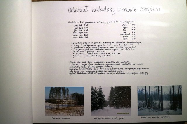 Kawałek historii